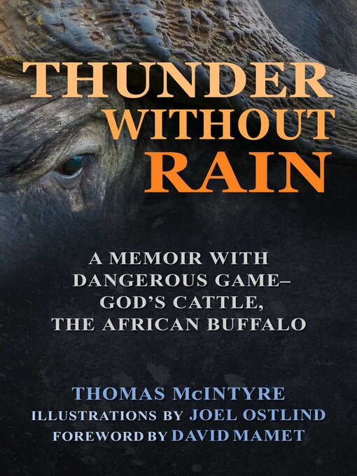 Cover image for Thunder Without Rain